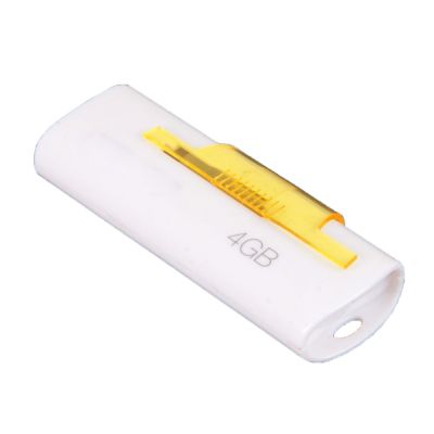Custom Logo Plastic Print Machine USB Pen Drive Memory Stick 
